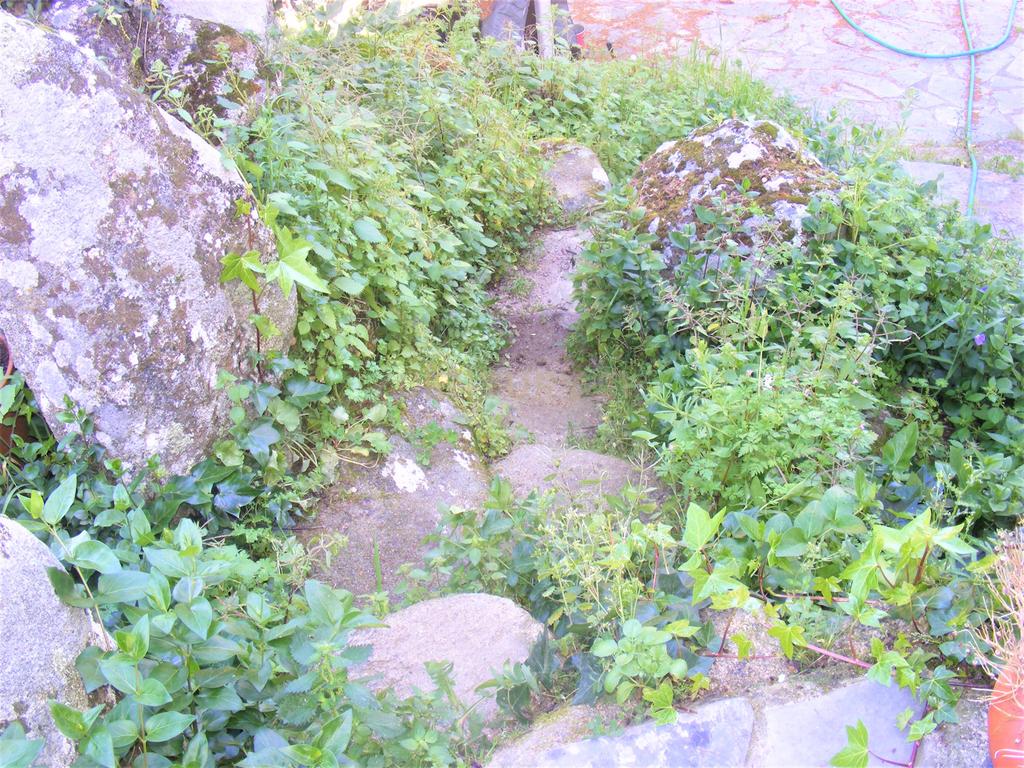 Quinta Típica Alentejana, Licença de Turismo Rural, Arrendamento, Arraiolos - Image 33