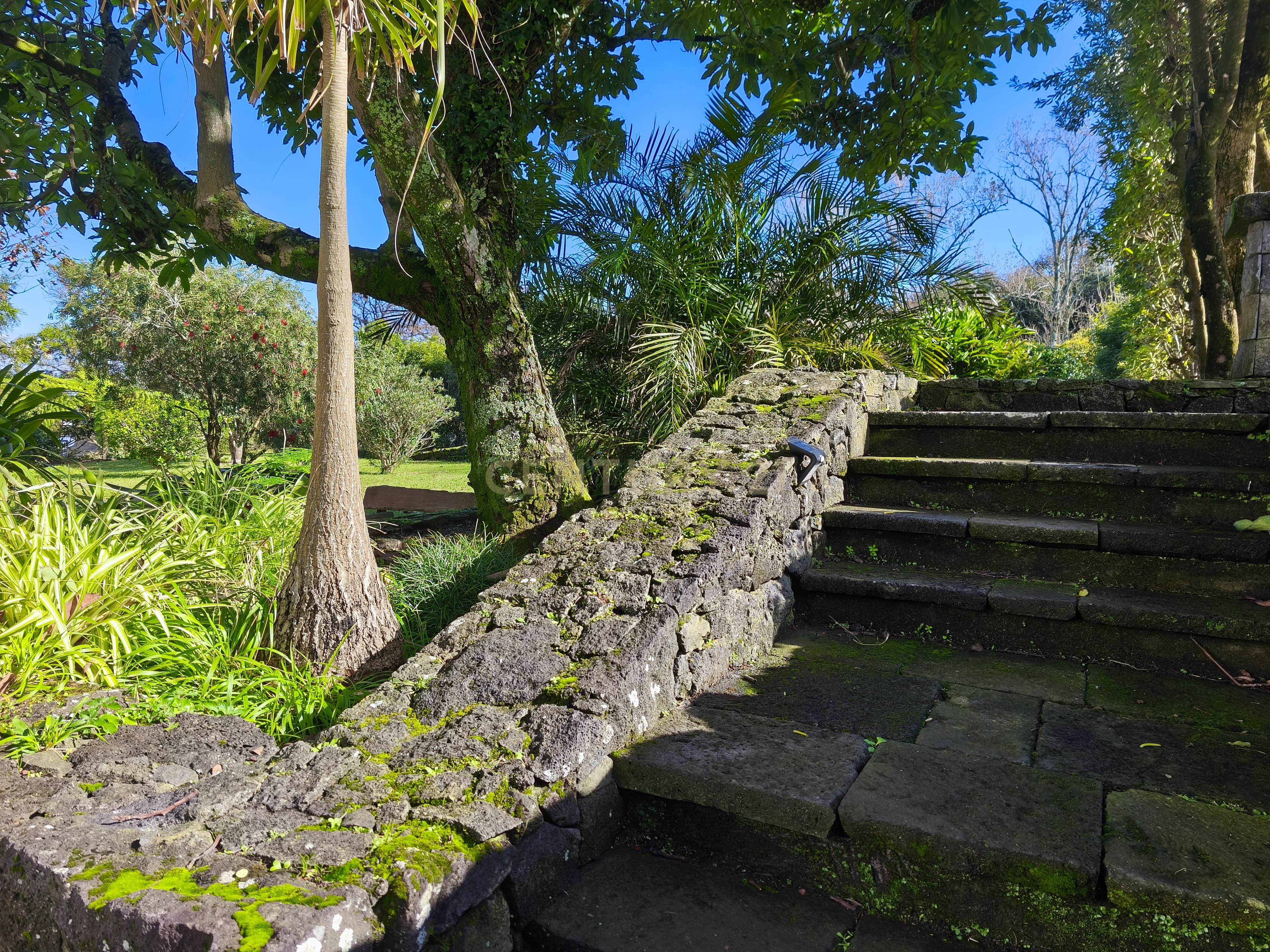 Fotografia 5 de Exclusiva Moradia T4 na Costa Norte de São Miguel - Capelas