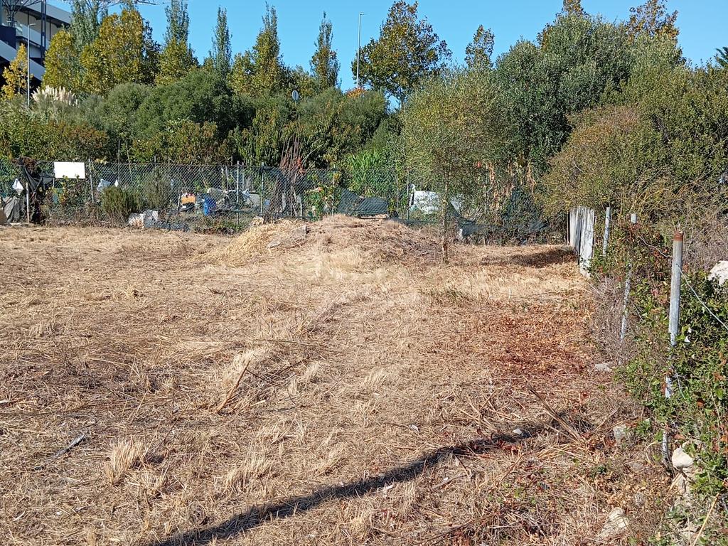 Oportunidade de Investimento em Rio de Mouro – Cabeça Gorda / Anafais - Image 2