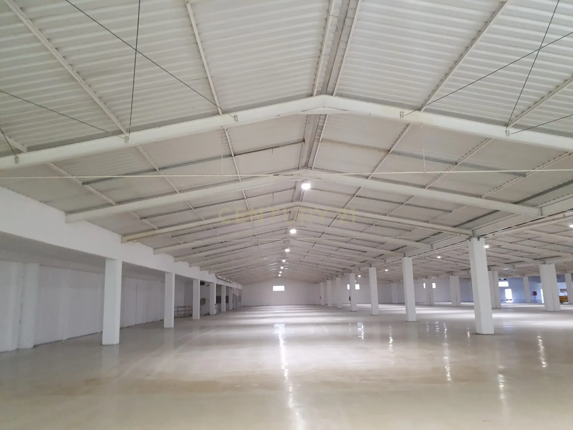 Armazém Logística 250m2 - Image 5