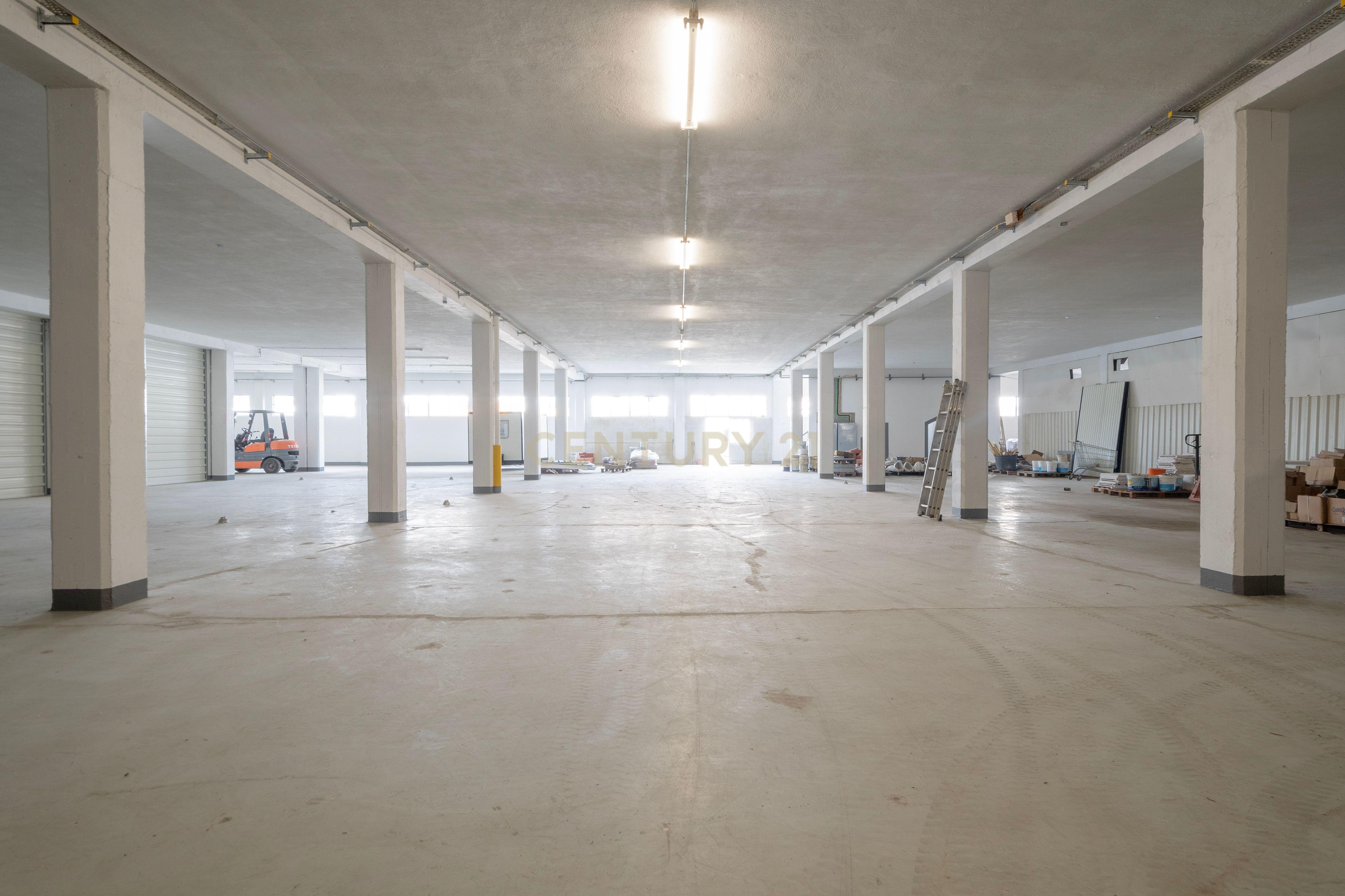 Armazém Logística 250m2 - Image 7