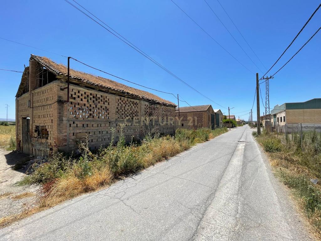 TERRENO DE REGADÍO CON SECADERO, JUNTO AL NÚCLEO URBANO DE FTE. VAQUEROS - Image 3