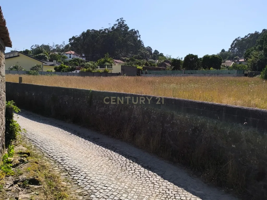 Terreno com Vista Montanha em Esposende - 3765m² - Image 4