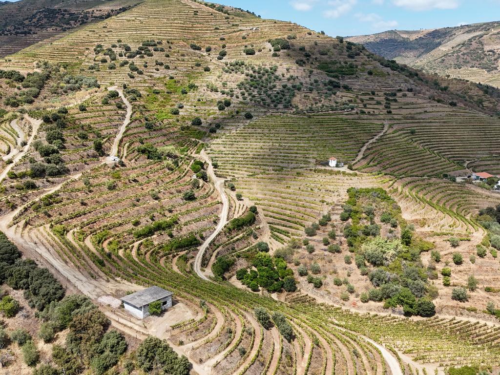 Farm with productive vineyard in the Douro Demarcated Region — São João da Pesqueira - Image 15