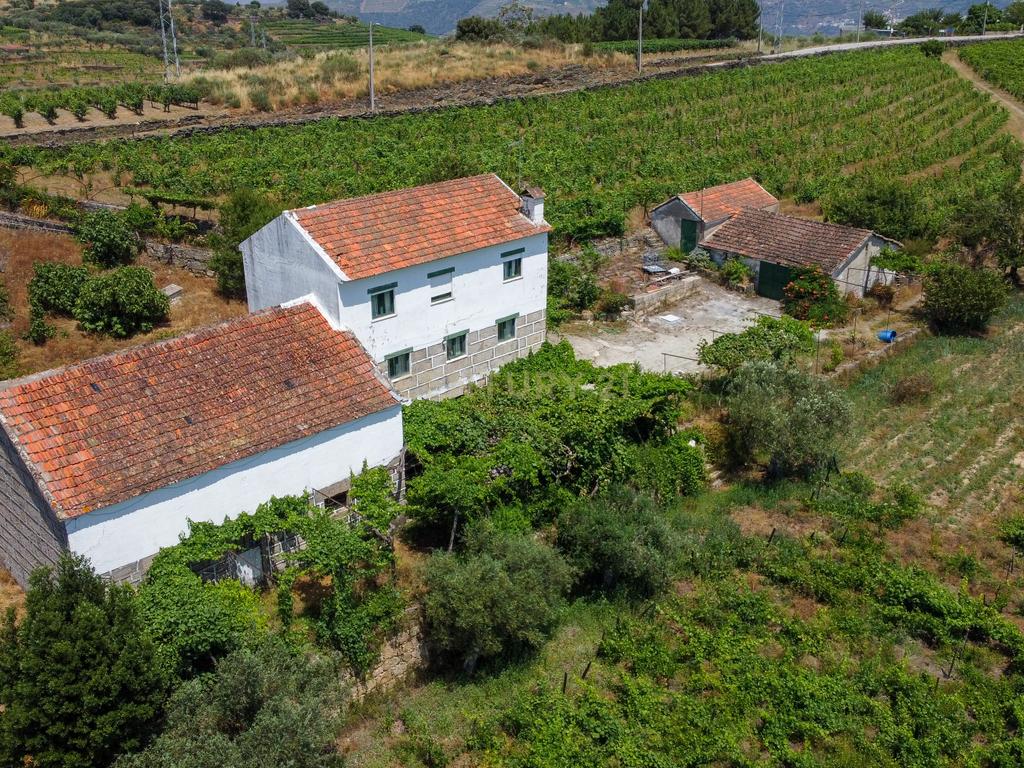 Quinta Encantadora T4 em Tabuaço, Viseu - Image 6