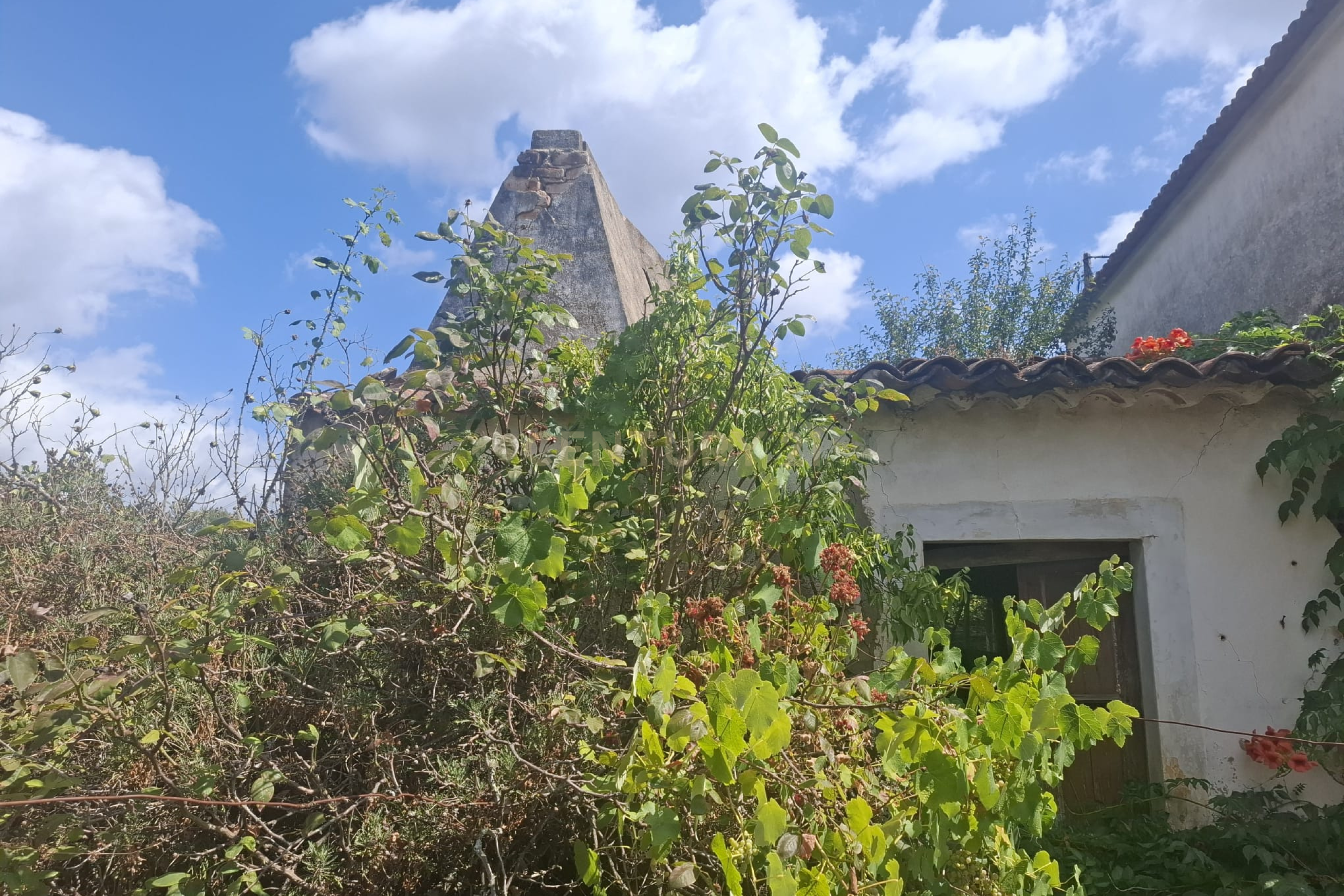 Fotografia 7 de Casa para Recuperação em Alcaravela, Sardoal