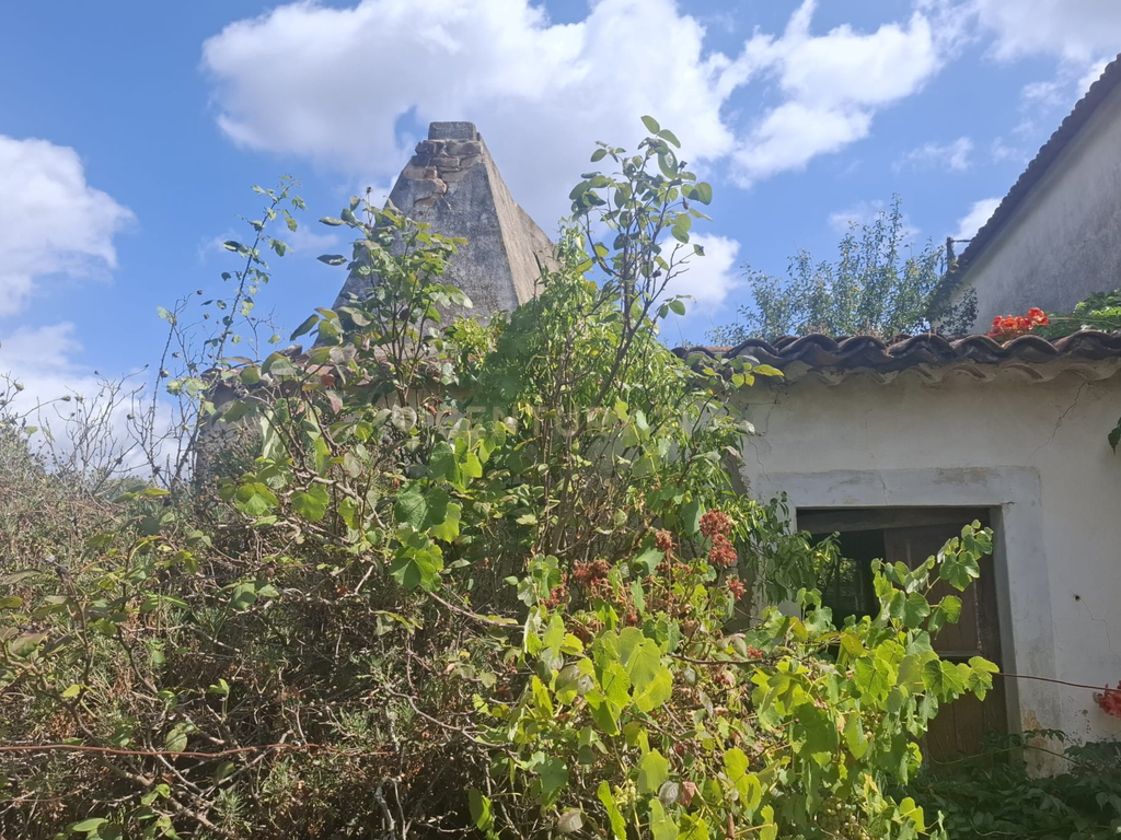Casa para Recuperação em Alcaravela, Sardoal - Image 7