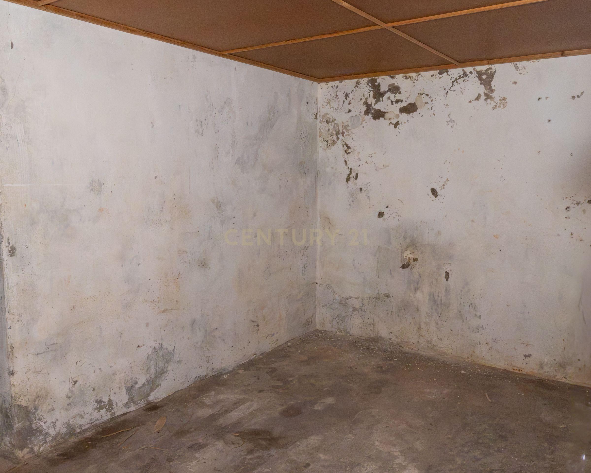 Moradia T4 à venda em São Mateus, Santa Cruz da Graciosa — foto 16