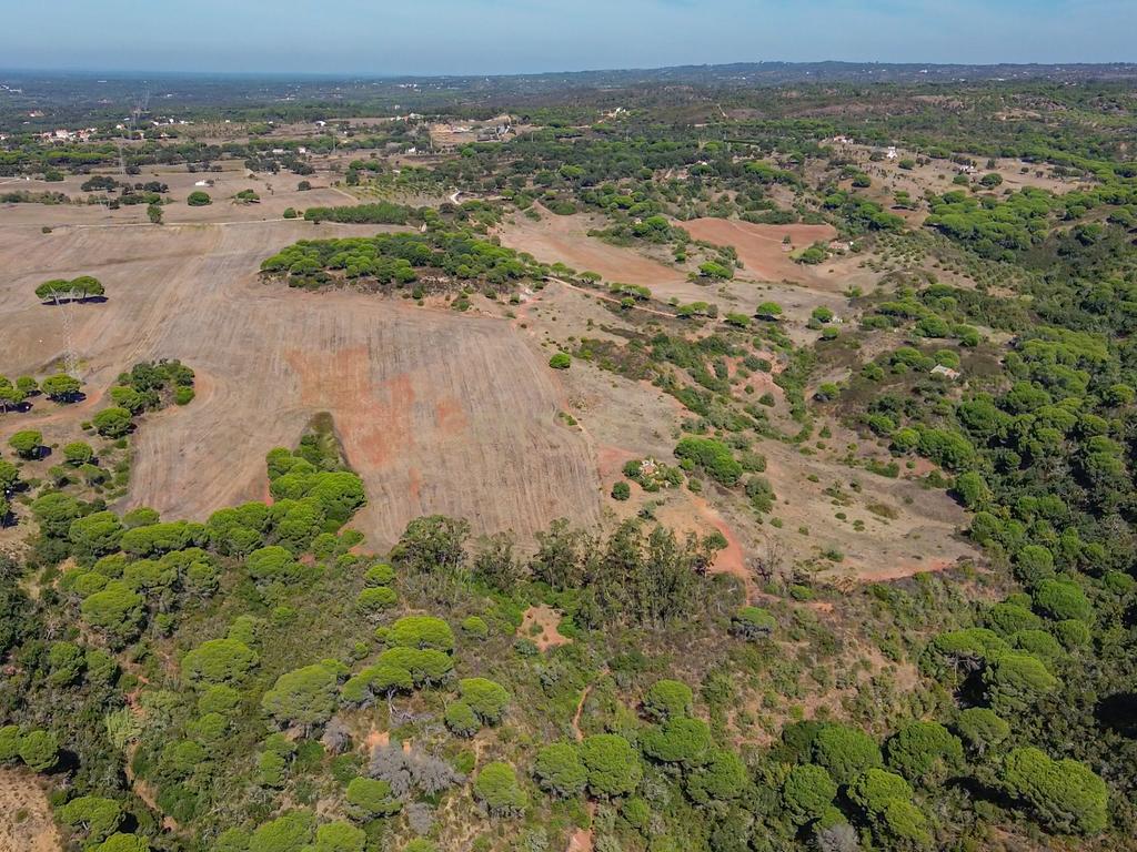 Quinta Rural T3, c/ Terreno 16,775ha, Melides, Grândola - Image 29
