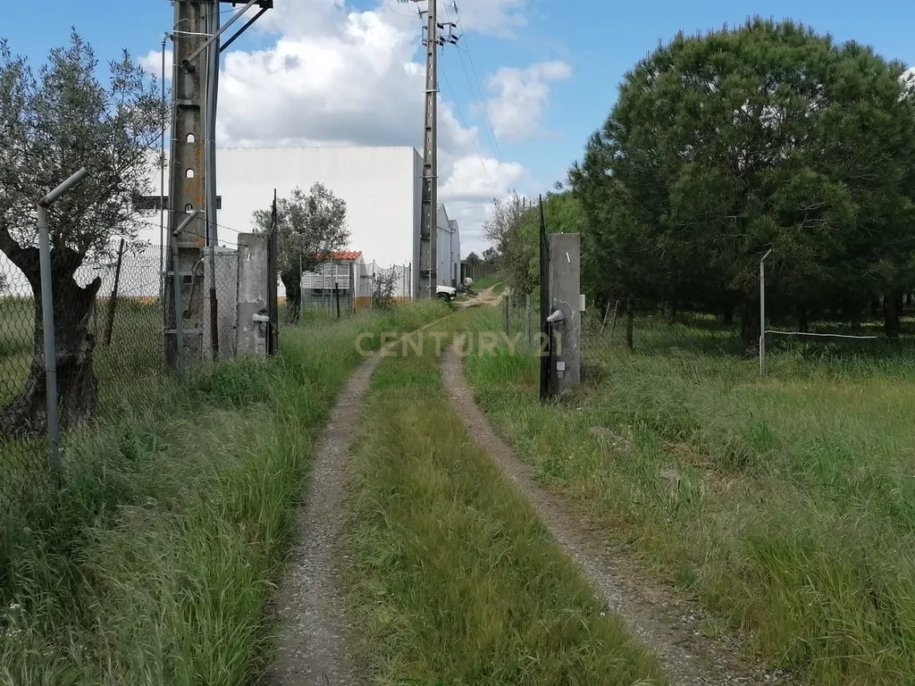 Quinta Rústica em Évora com 8.750 m2 e uma Vista Campestre - Image 5