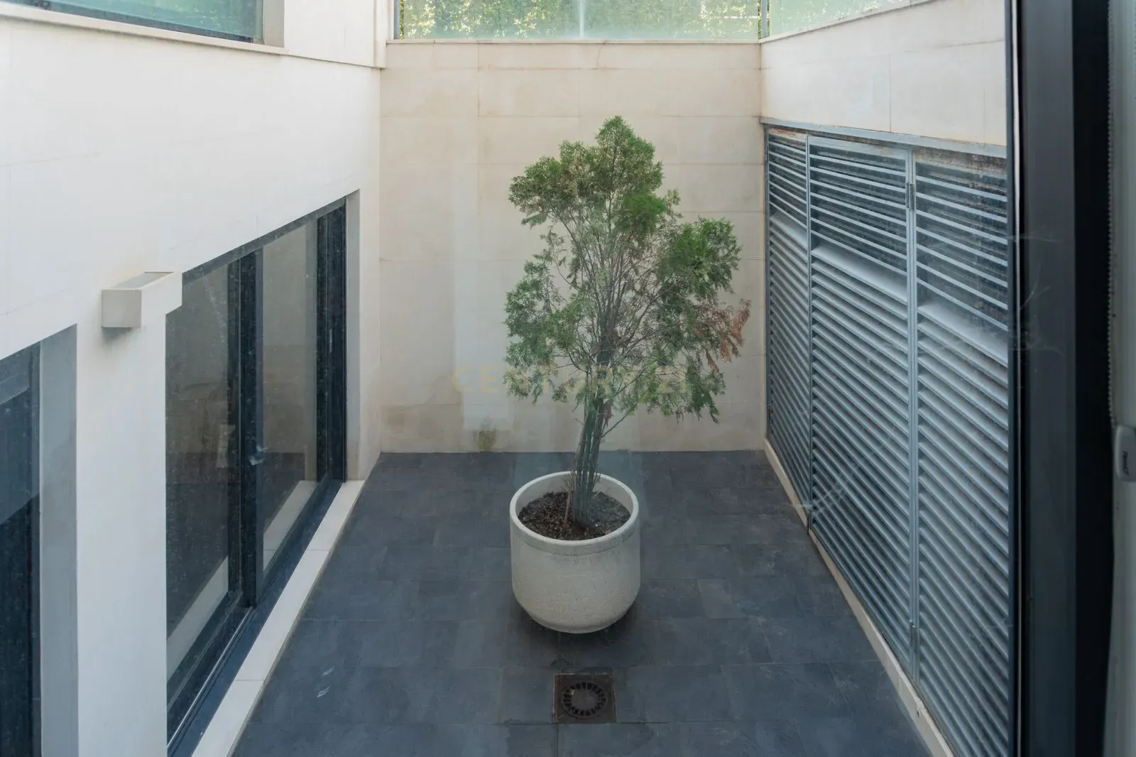 - Image 19