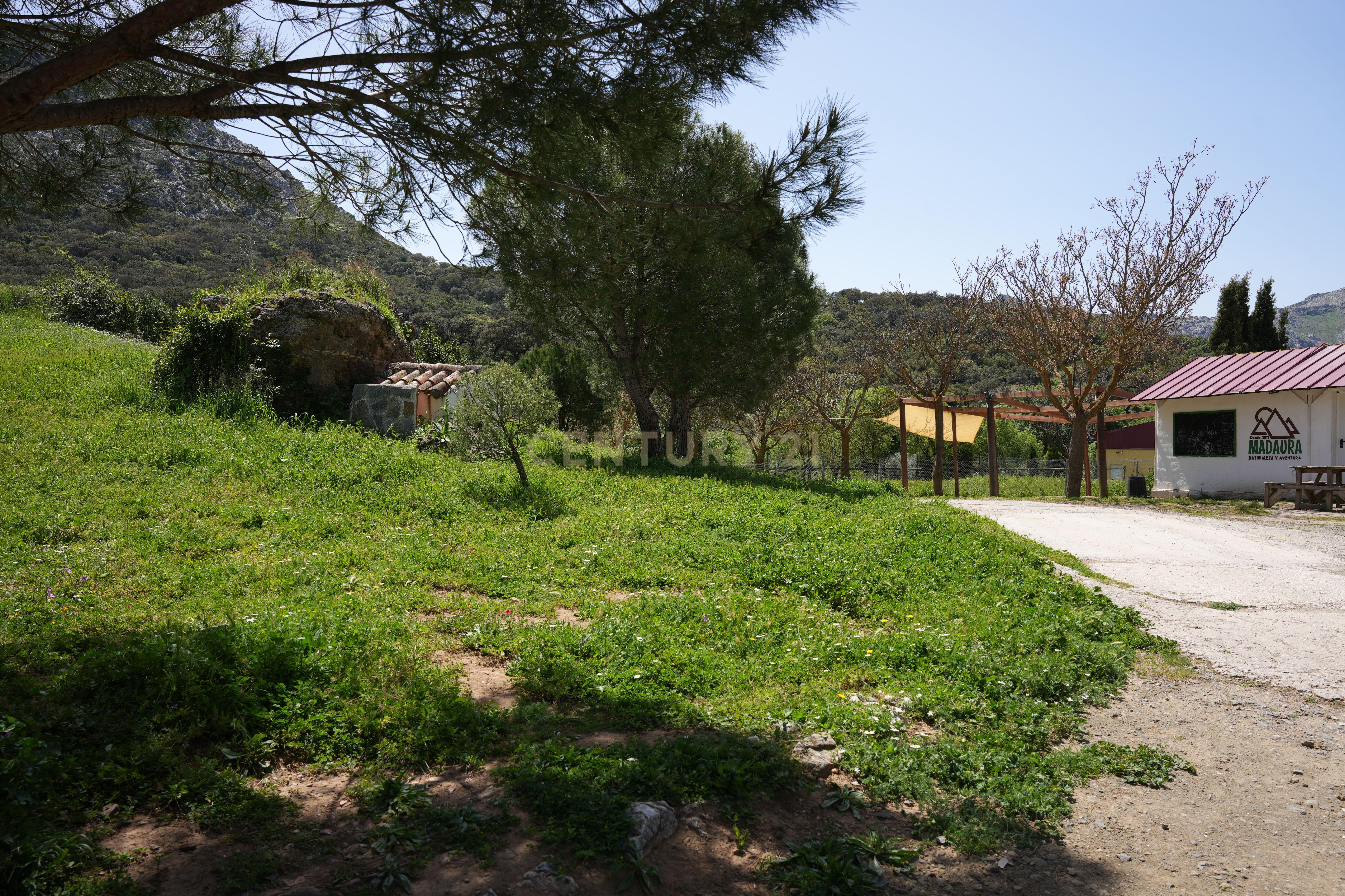 VENDA DE PROPRIEDADE RÚSTICA EM ANTEQUERA COM EXPLORAÇÃO DE AGROTURISMO - Image 62