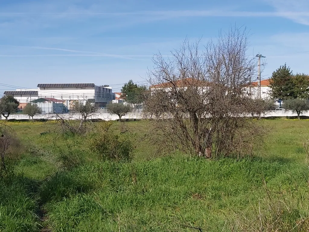 ✨ Terreno com 8.500 m² com 2 Moradia na encantadora Vila da Amareleja – Alentejo ✨ - Image 6