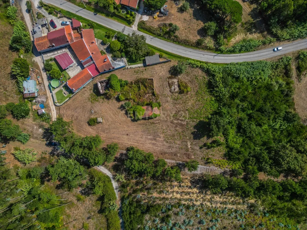 Propriedade com duas casas para reabilitar, terreno e poço na Costeira – Figueira da Foz - Image 8
