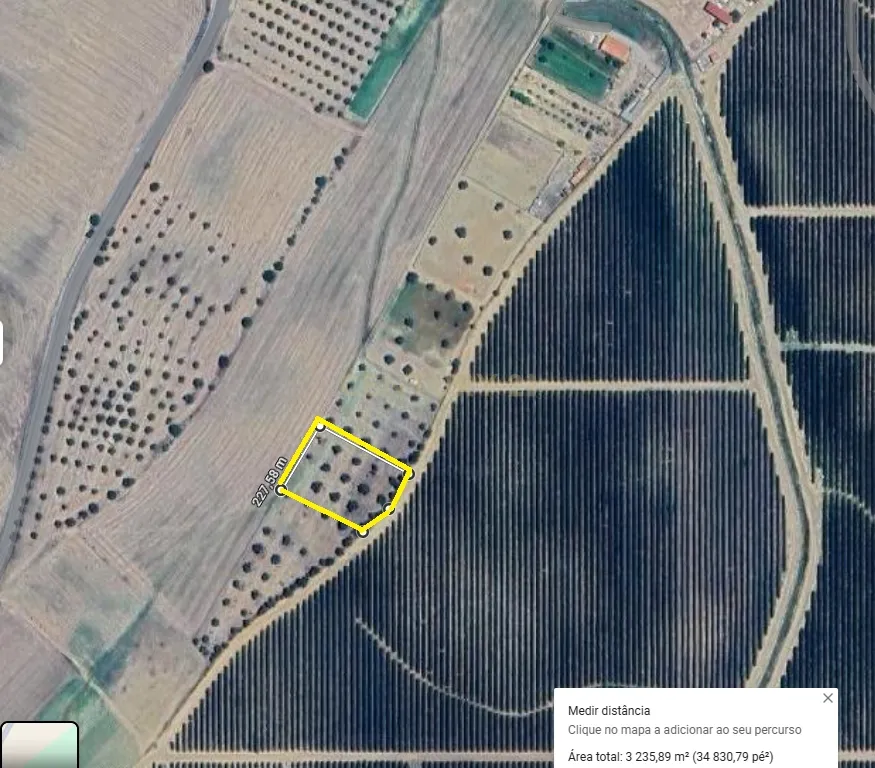 Aljustrel-Rio de Moinhos Próximo do Monte Barradas, Terreno Rústico com Oliveiras com 3250 m2. - Image 9