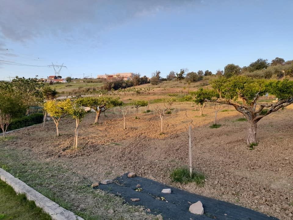 Moradia T4 em Quinta de 1950 com piscina e terra fértil - Image 15