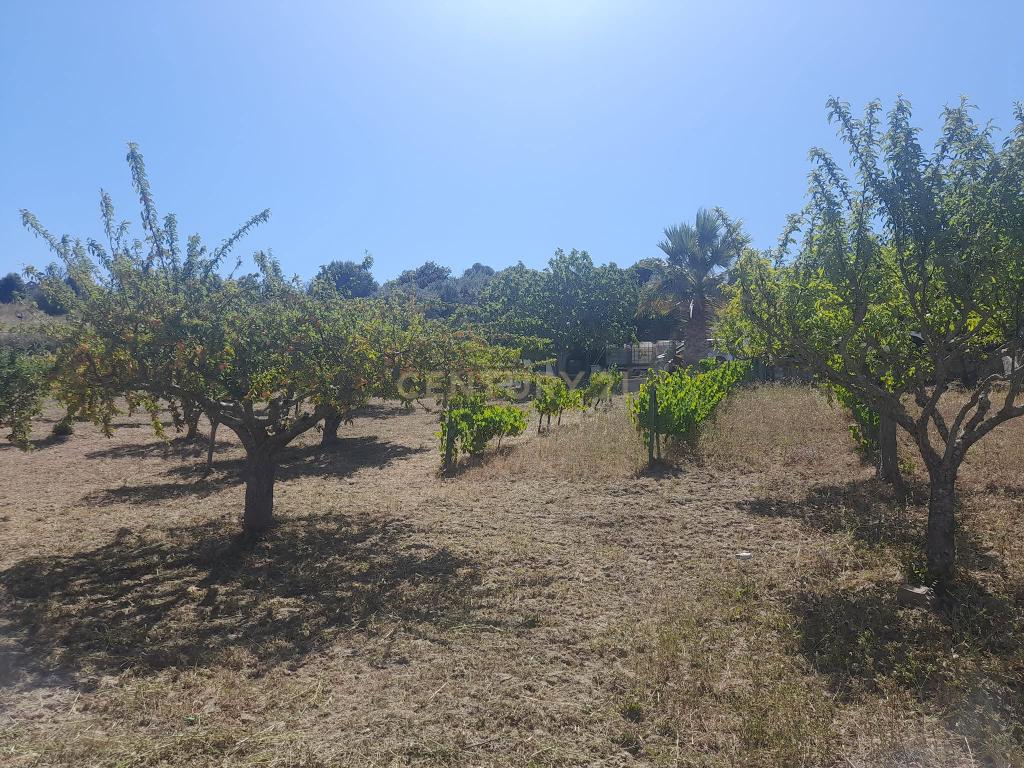 Moradia T4 em Quinta de 1950 com piscina e terra fértil - Image 18