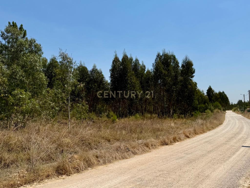 Terreno com 94.000 m2 na zona do Novo Aeroporto de Lisboa, Santo Estêvão, Benavente. Em venda! - Image 15