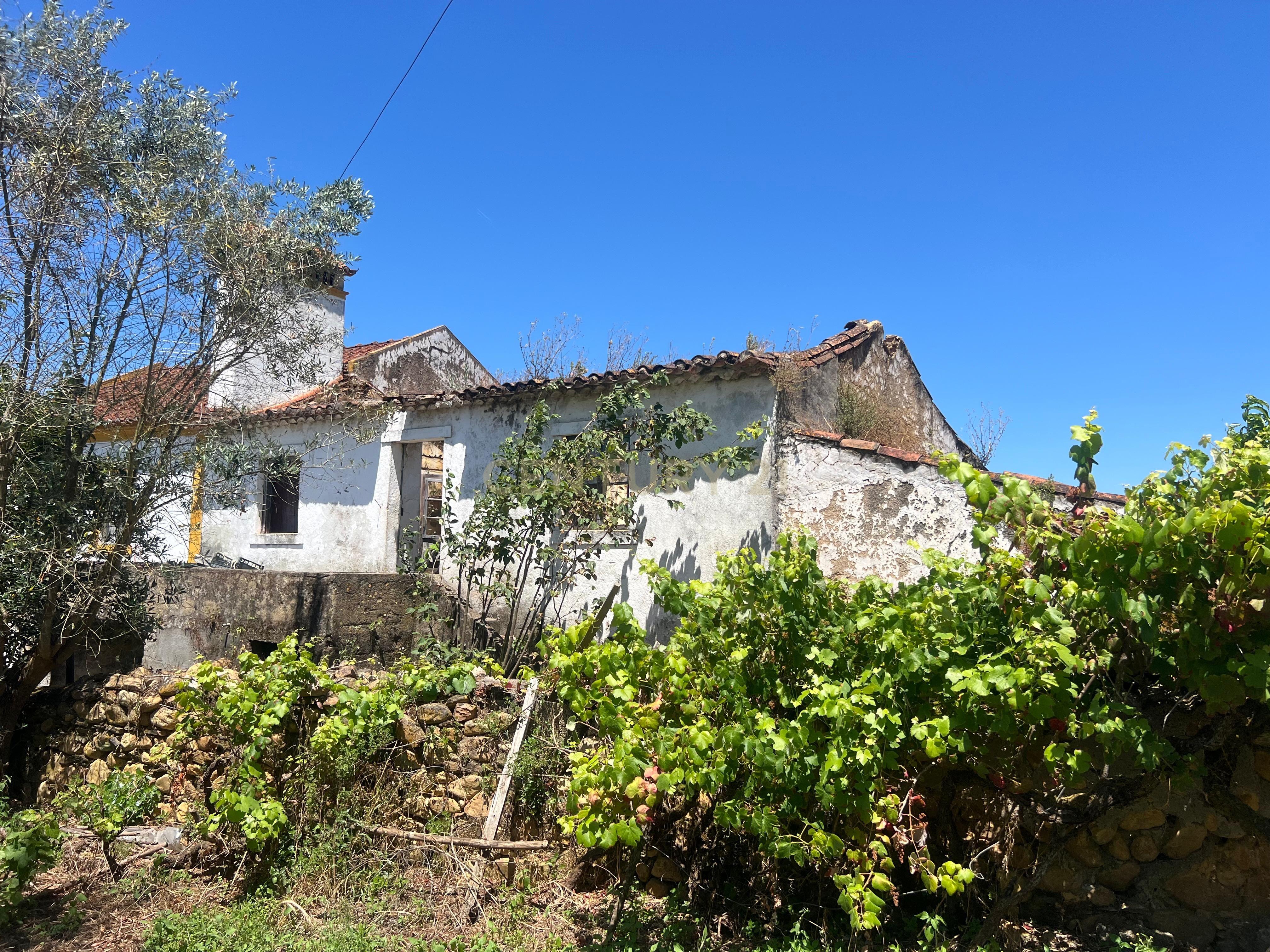 Casa para reconstrução total a 10 min da Praia Fluvial de Aldeia do Mato Abrantes - Image 1