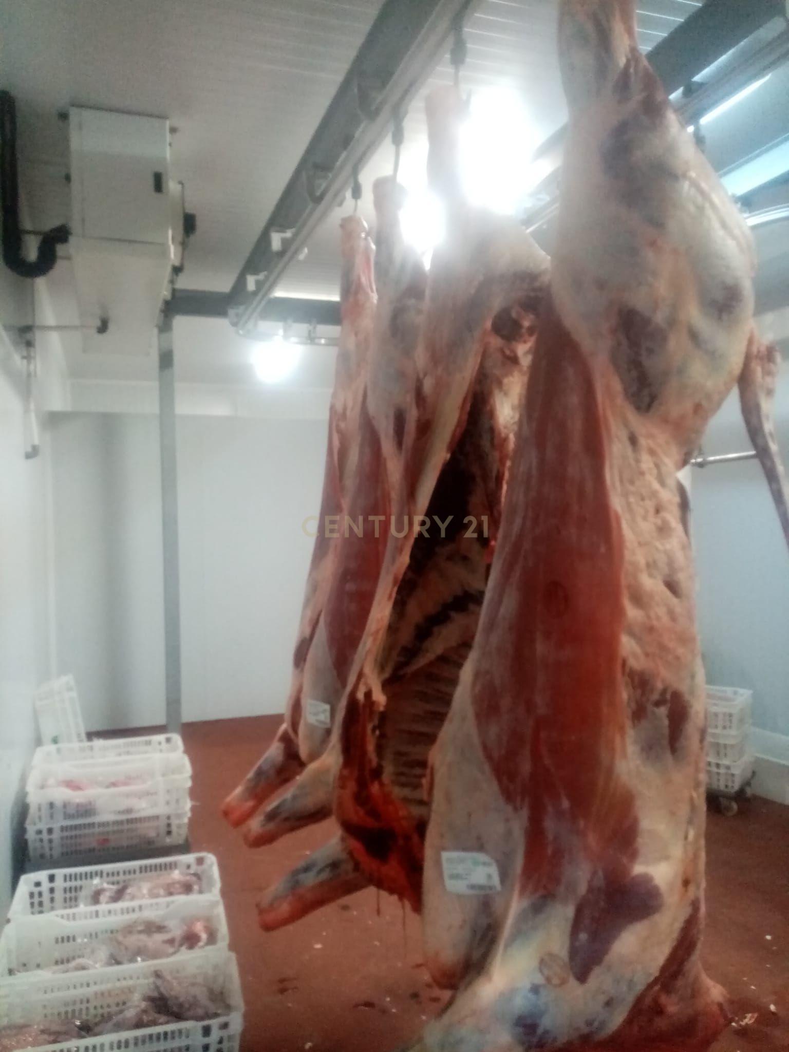 undefined - Image 4