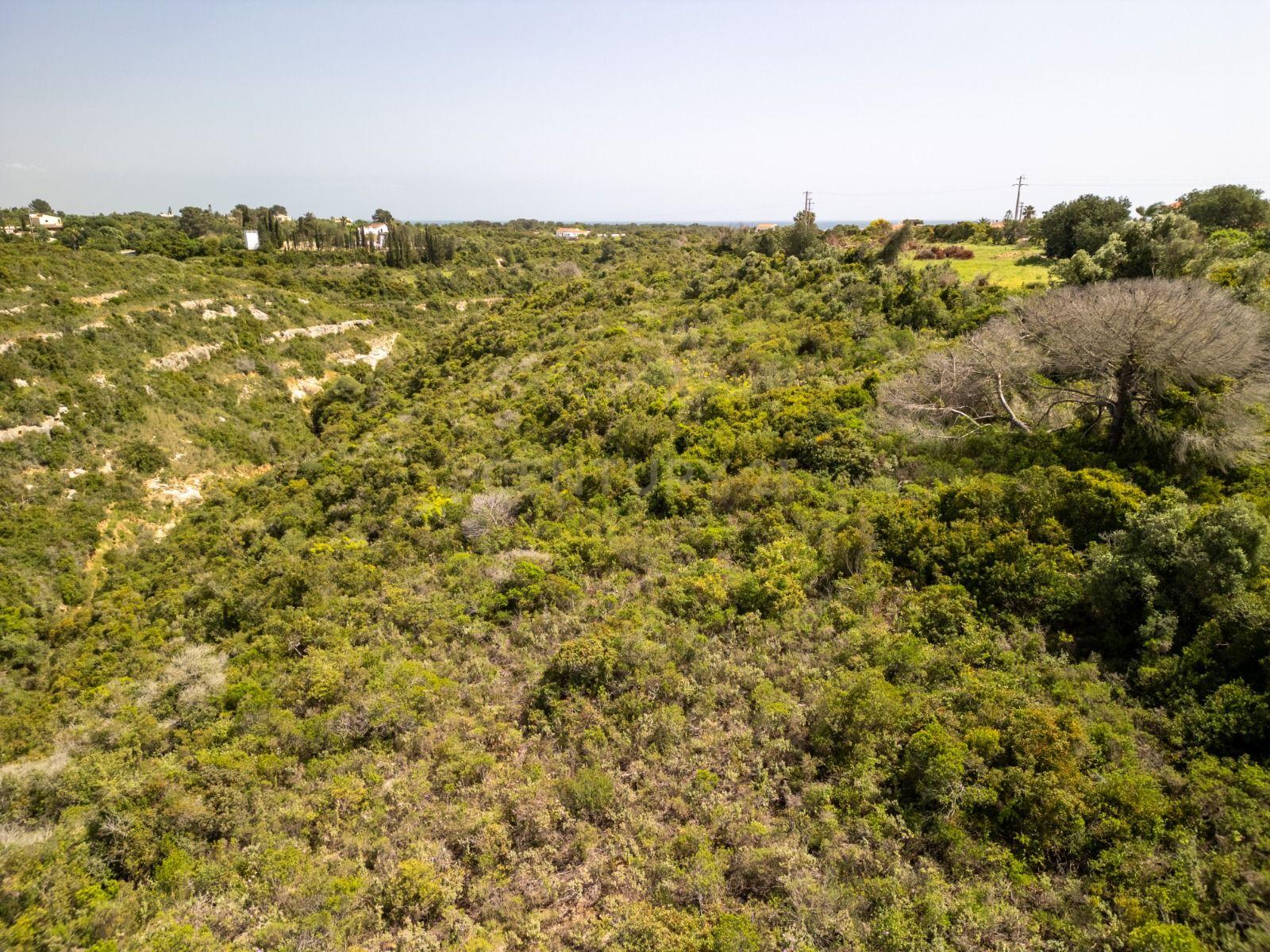 Fotografia 5 de Terreno Rústico com 20.820 m²  em Vale de El-Rei, Lagoa, Algarve