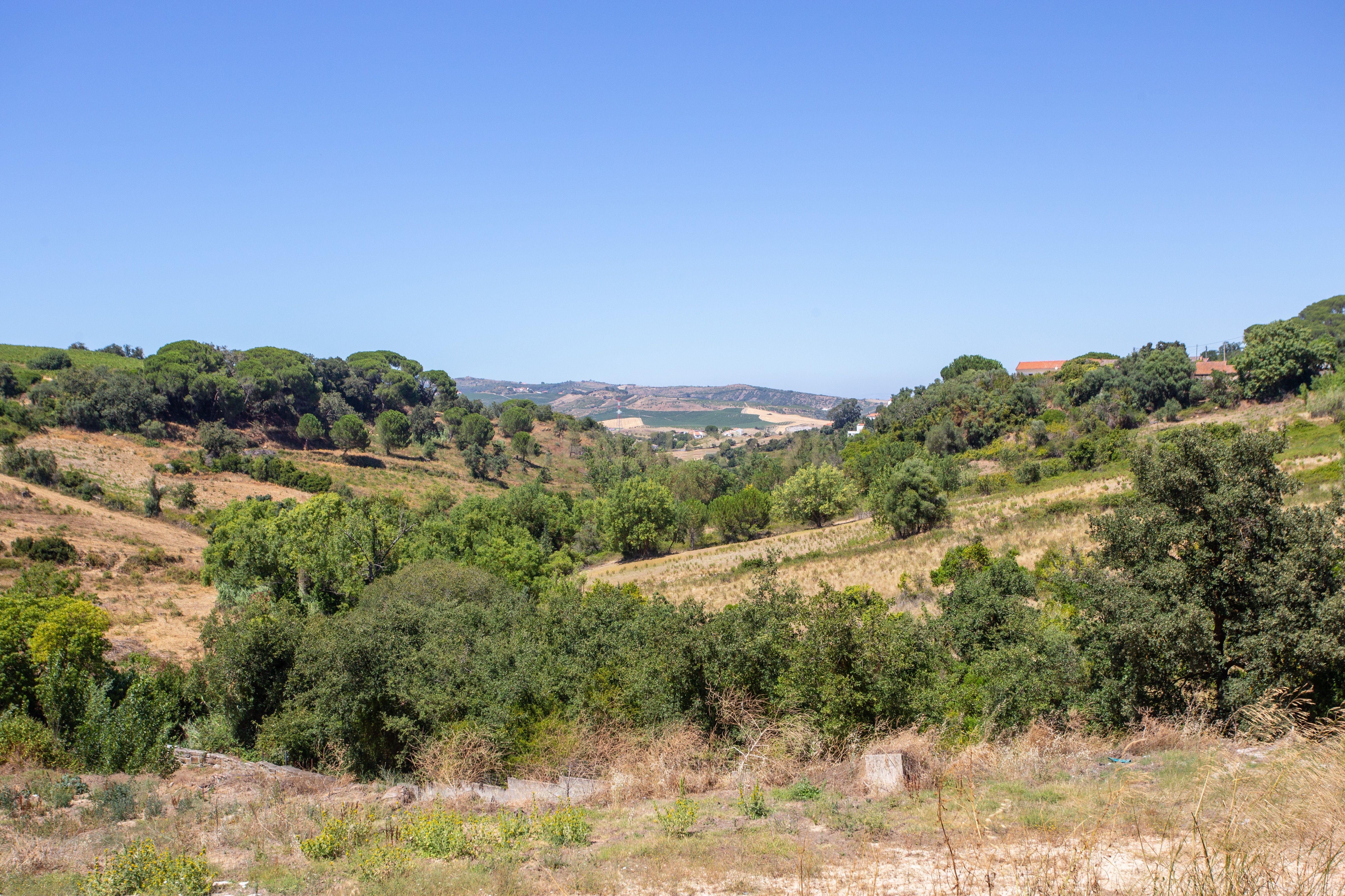 Fotografia 12 de Terreno com Vista Panorâmica em Valhelhas, Guarda