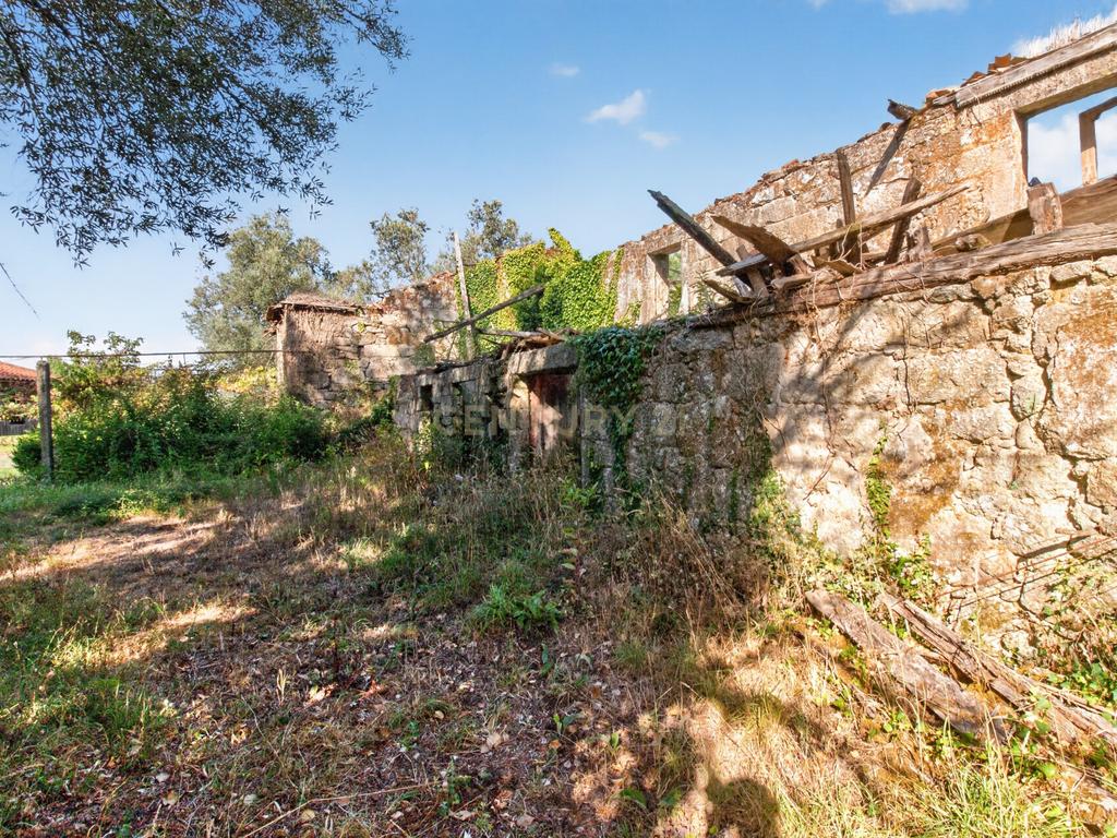 Quinta de Verim – 22.000 m² de história, natureza e potencial - Image 35