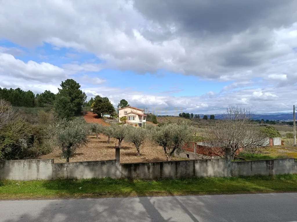 Terreno para Construção em Vale de Gouvinhas - Mirandela - Image 9