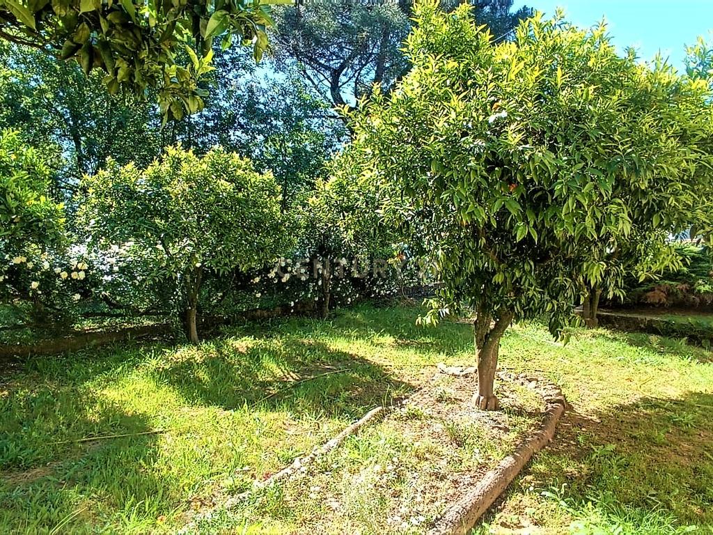 Grande moradia térrea, em Santo Tirso com área de lazer, anexo, jardim e terreno agrícola, Porto - Image 49