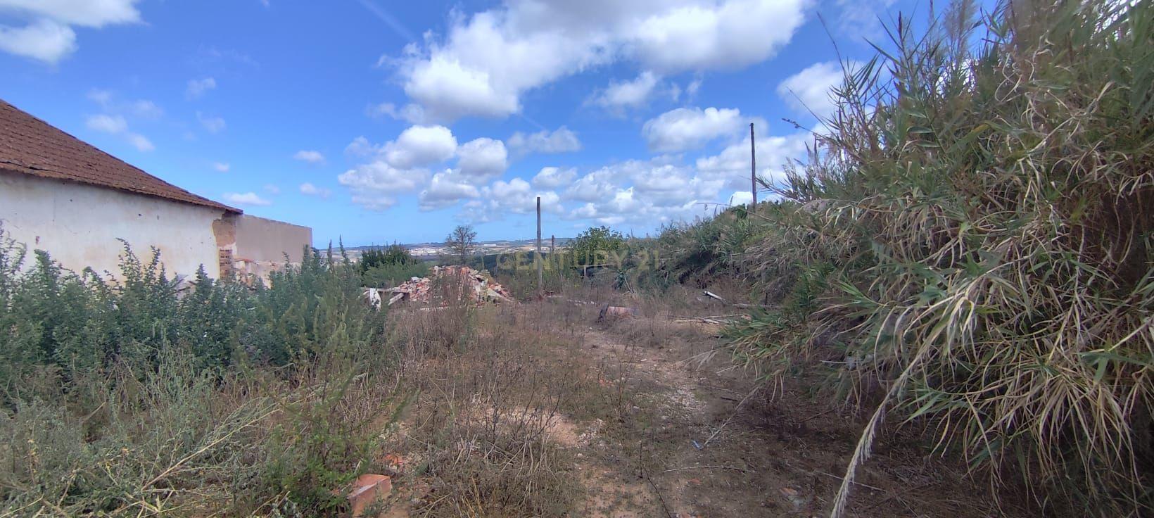 Fotografia 2 de TERRENO PARA CONSTRUÇÃO COM 1.000 M² | CABEÇA GORDA | ENTRE TORRES VEDRAS E A LOURINHÃ