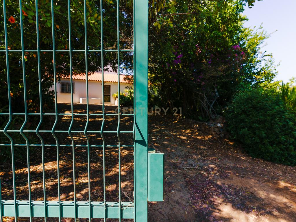 Quinta com 8660 m2 com Moradia, piscina e dois terraços panorâmicos em Silves - Image 2