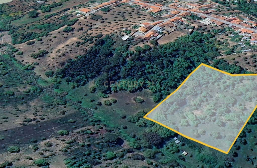 Terreno de 8280m² com cultura Arvense variada em Abrantes - Image 5