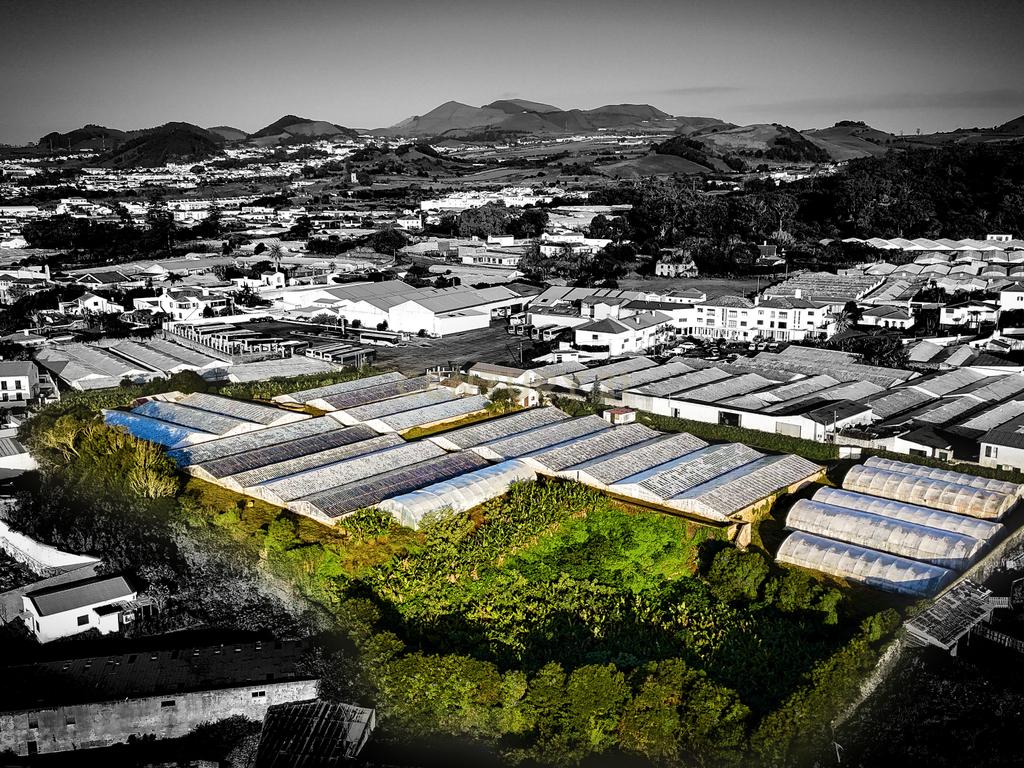 Propriedade Única com Estufas de Ananases e Potencial Urbano — Abelheira de Baixo, São Roque - Açores - Image 2