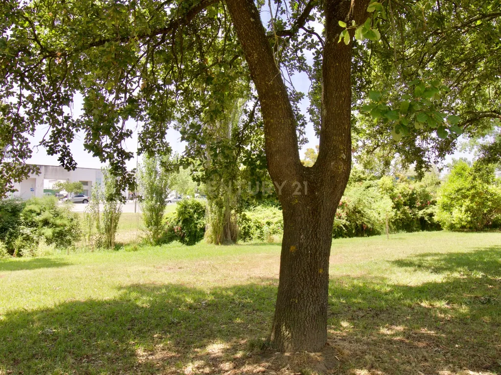 Moradia T3 em Évora - Image 49