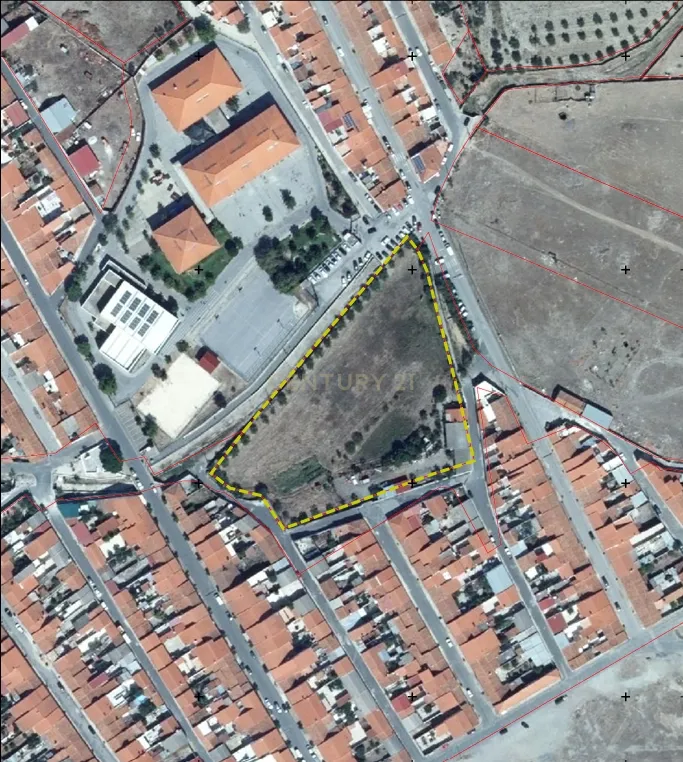 ✨ Terreno com 8.500 m² com 2 Moradia na encantadora Vila da Amareleja – Alentejo ✨ - Image 2