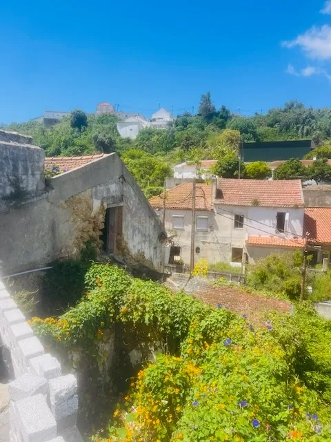 INVESTIMENTO IMPERDÍVEL EM PORTO BRANDÃO – TERRENO COM PRÉDIO EM RUÍNA PARA REABILITAÇÃO - Image 24