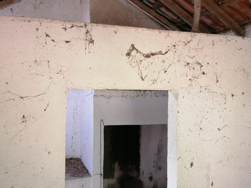 Terreno Agrícola em Gavião, Portalegre - 2500m² com casa - Image 20