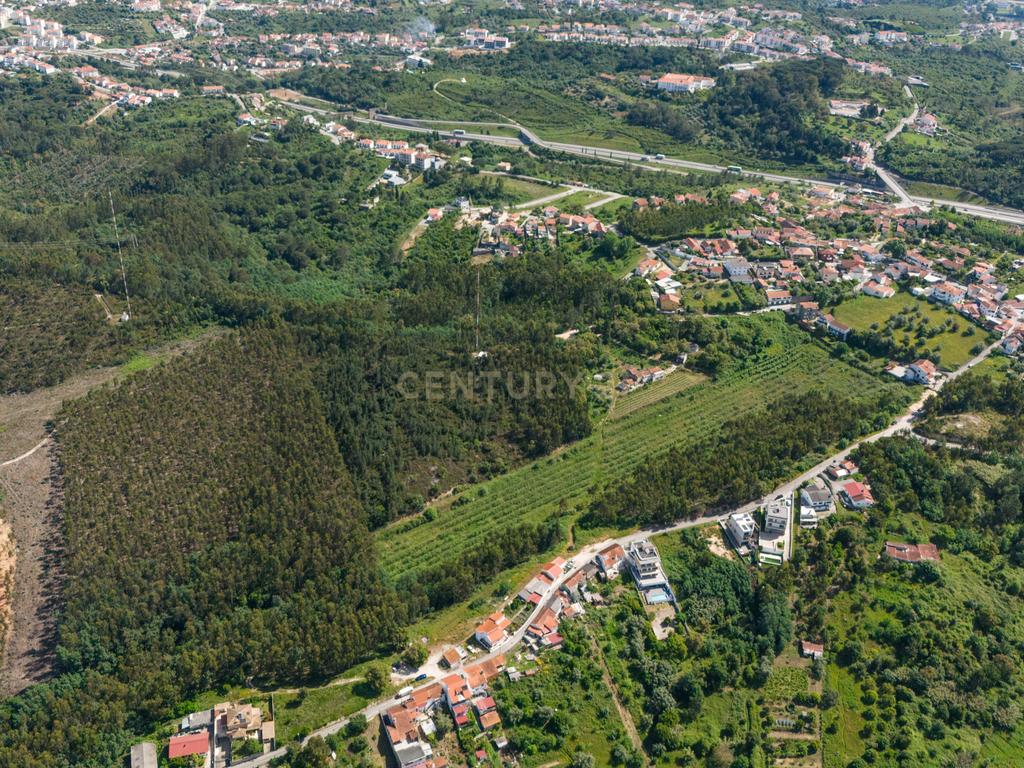 Quinta com 8 hectares com potencial para construção – Antanhol - Coimbra - Image 18