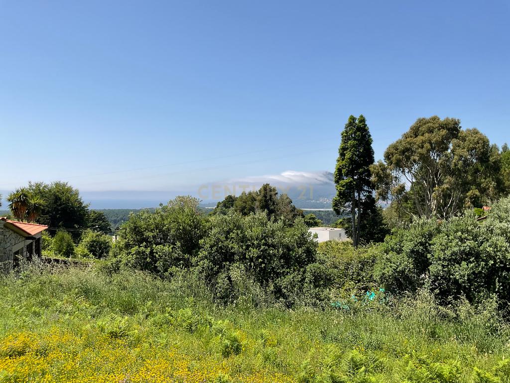 Deslumbrante Terreno com Vista Panorâmica em Cristelo, Caminha - Image 7