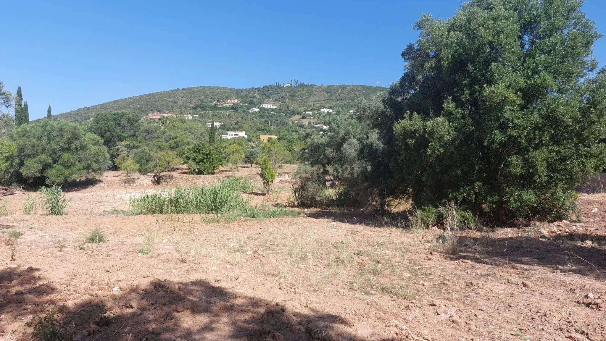 Fotografia 4 de Terreno Rústico com 2.280 m² em Santa Bárbara de Nexe – Sítio do Canal