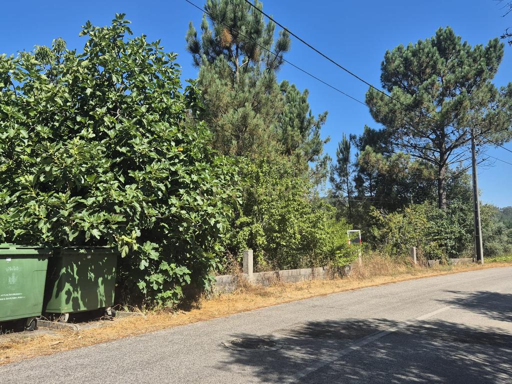 Terreno para Construção em Pombal, Leiria - Oportunidade Única! - Image 25