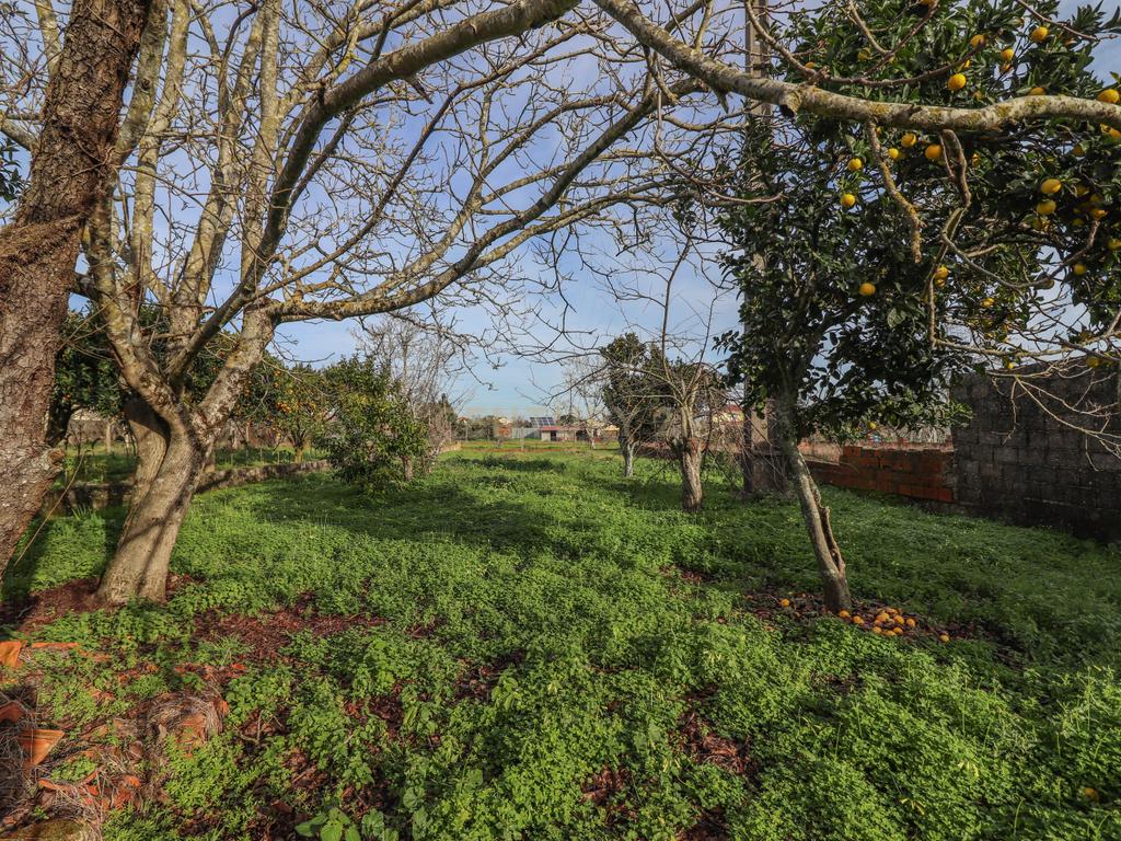 Moradia Tradicional T2 com terreno para reabilitar no centro do Paião, Figueira da Foz - Image 22