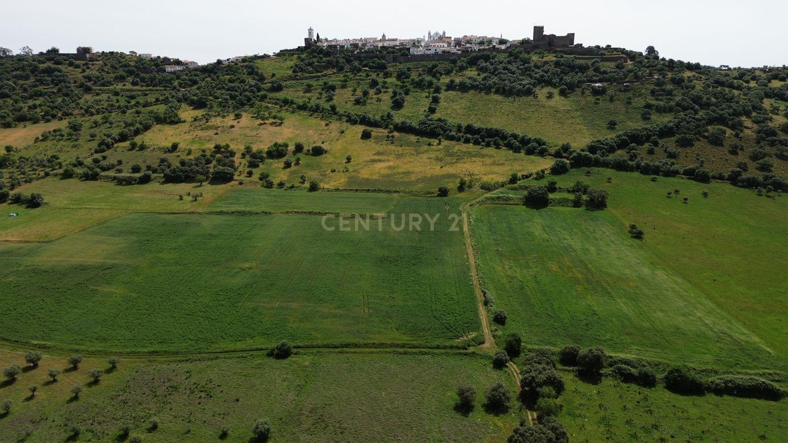 Fotografia 7 de Terreno em Monsaraz junto ao Castelo