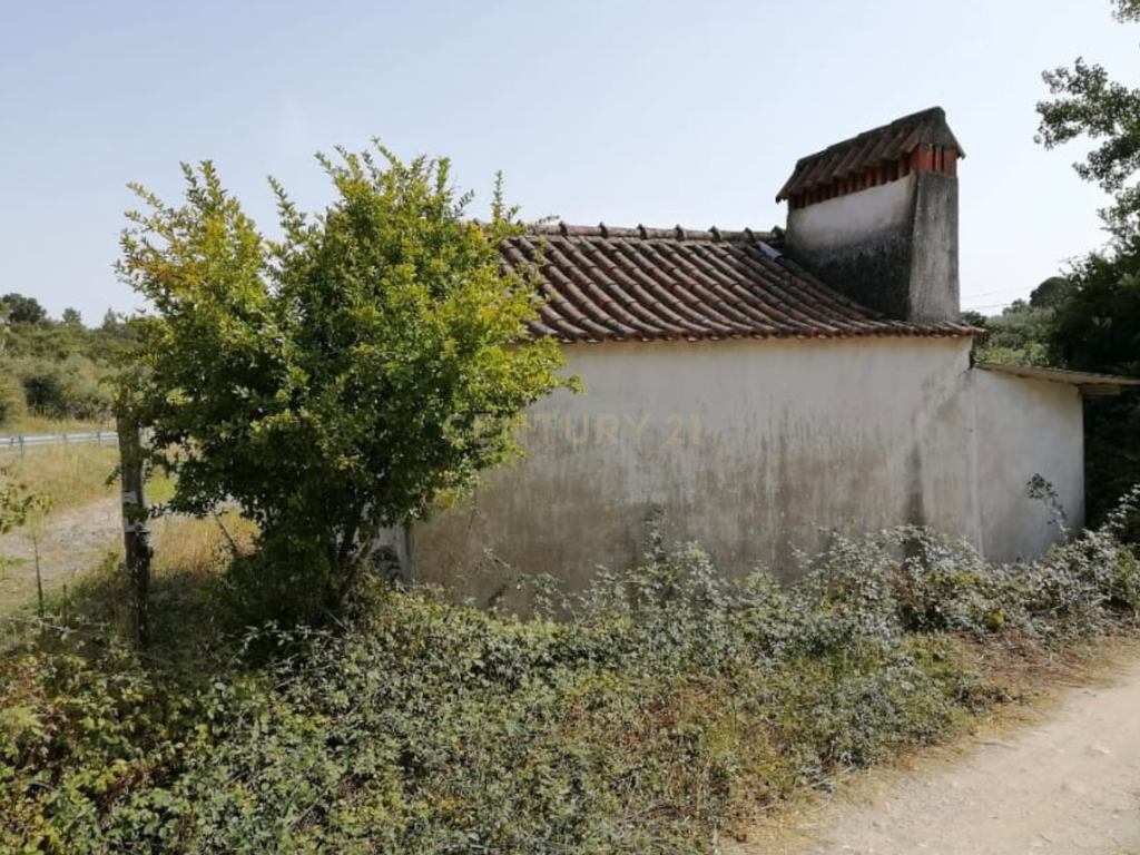 Terreno Agrícola em Gavião, Portalegre - 2500m² com casa - Image 13