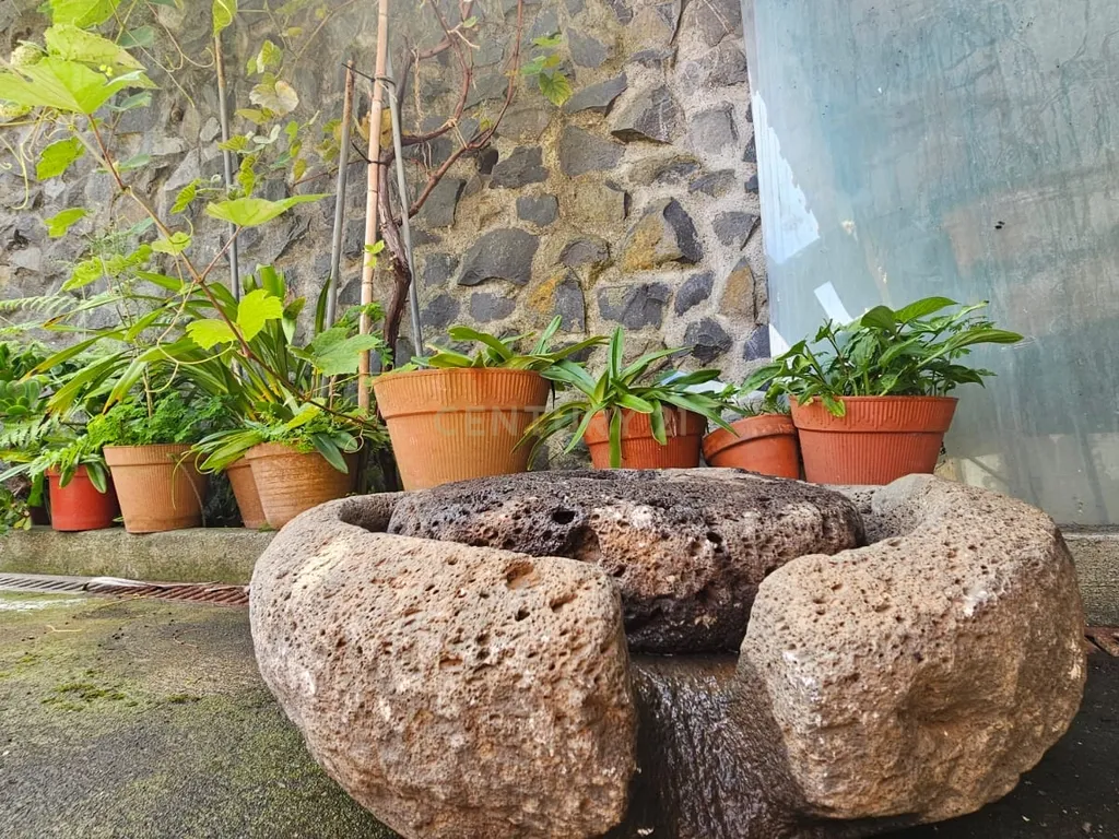 Moradia Tradicional T2 - São Roque do Faial - Image 16