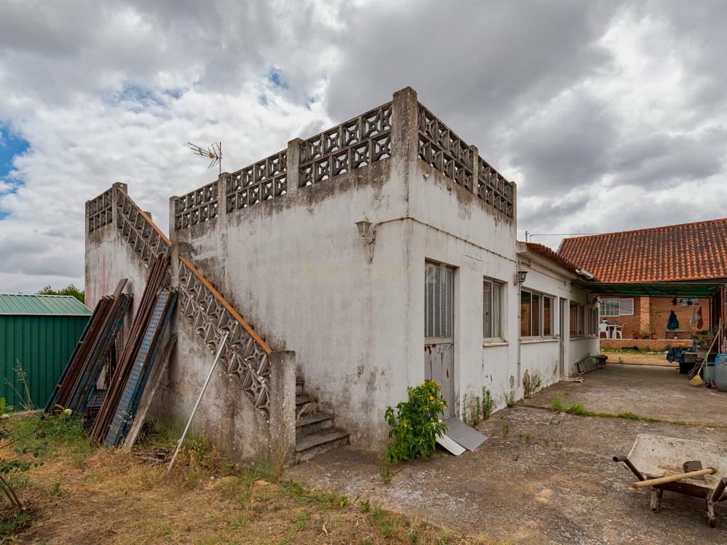 Moradia térrea T3 impecável num terreno de 3954m2 e anexo em Azeitão - Image 39