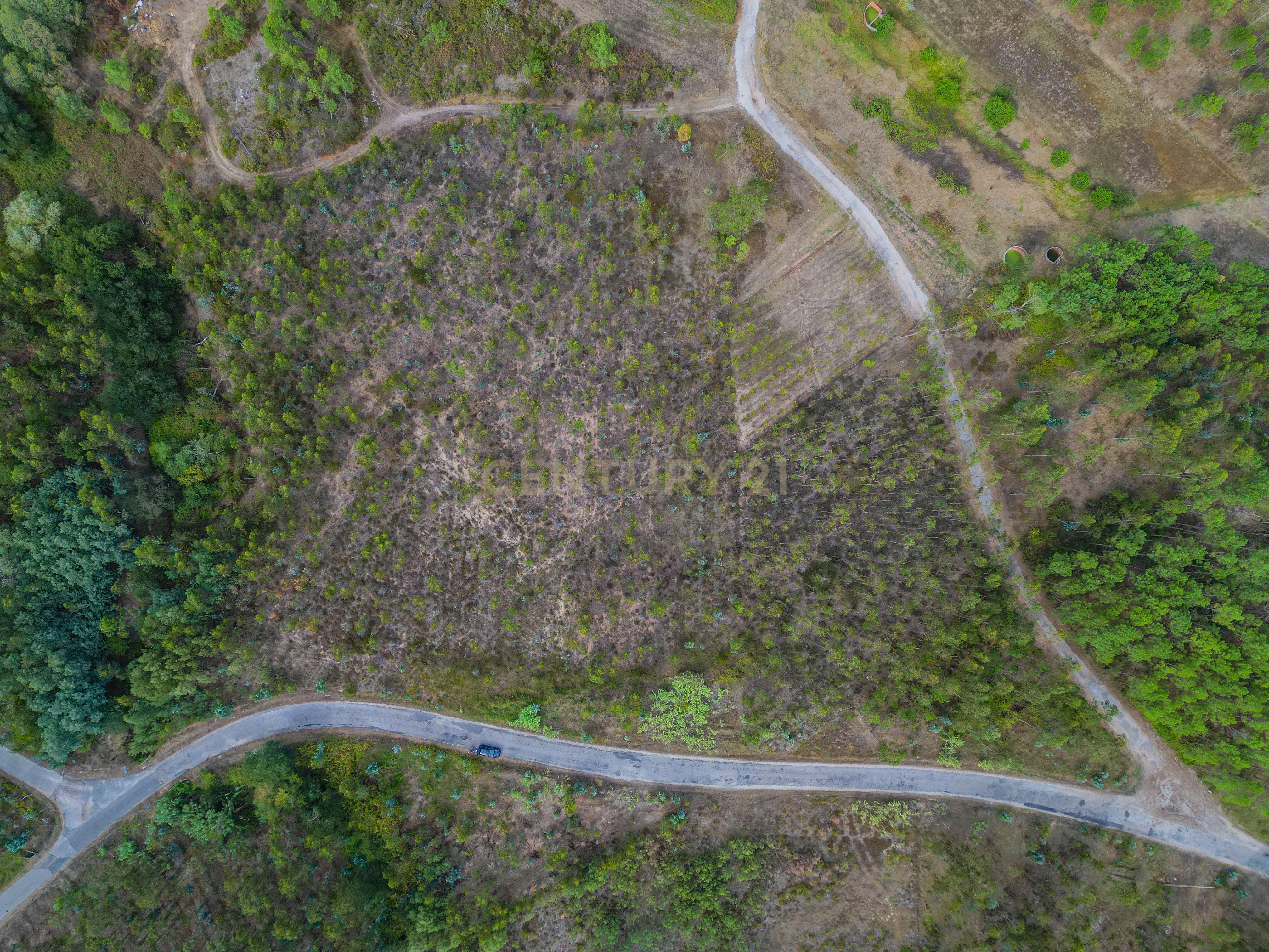 Fotografia 4 de Terreno rústico com cerca de 3.930,00 m² para venda em Lafrana de Cima – Figueira da Foz