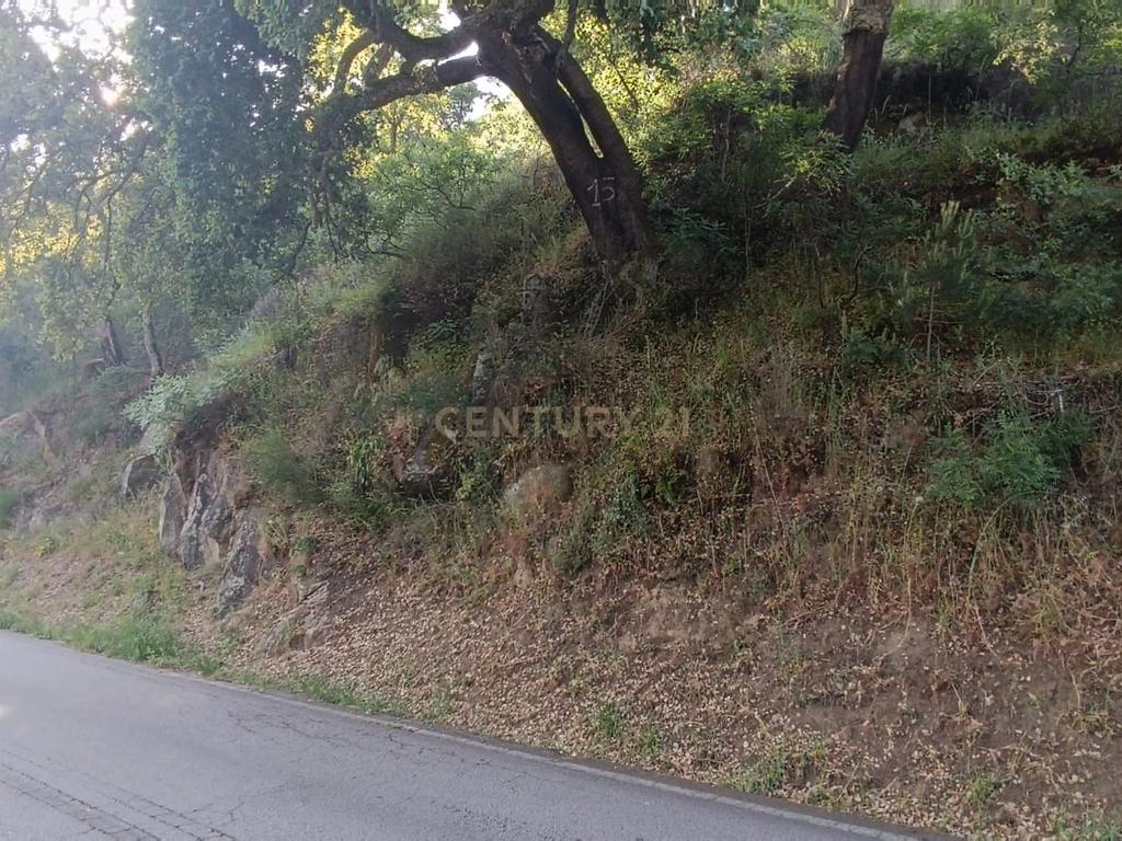 Terreno florestal com vista para a praia fluvial de Porto de Rei em Barqueiros, Mesão Frio às portas do Douro - Image 29