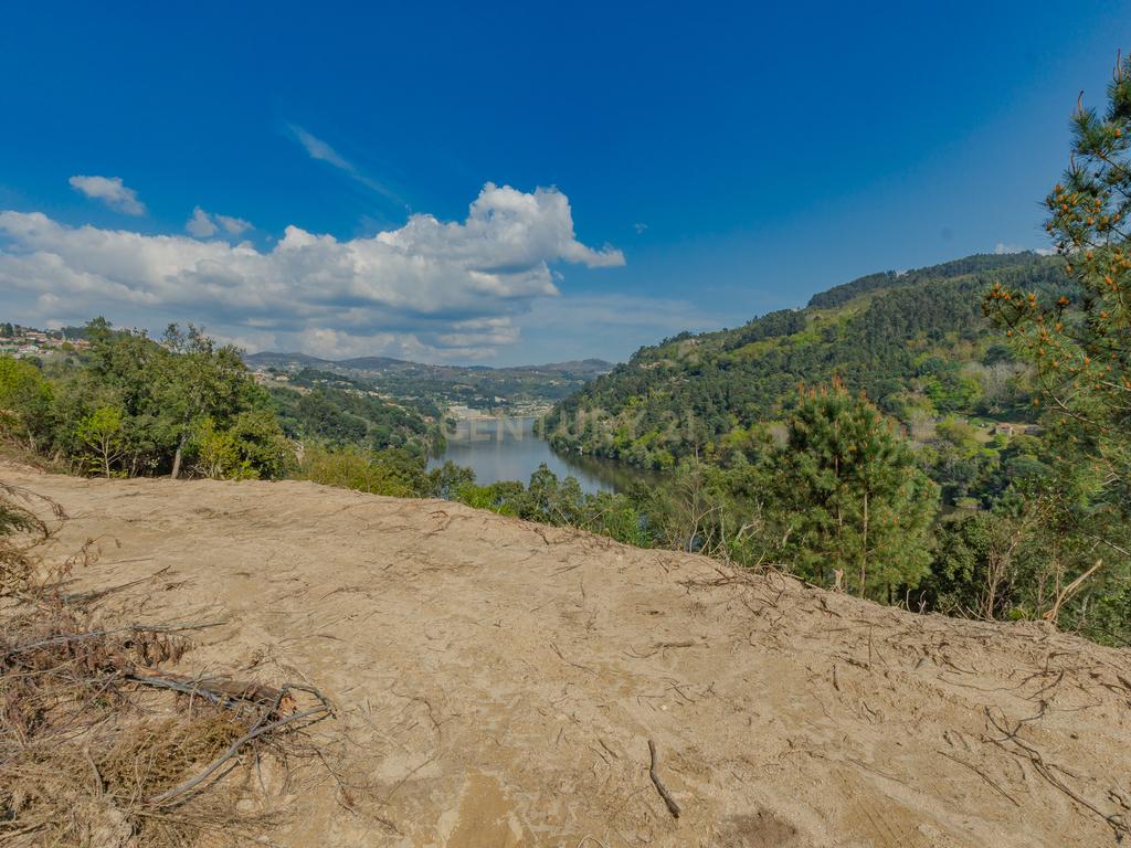 Terreno com magnifica Vista para o Rio Douro em Paços de Gaiolo - Image 6