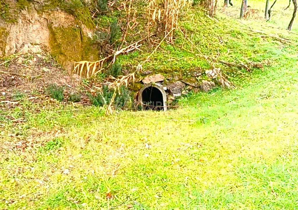 Belíssima ruína em terreno verdejante com vista deslumbrante para o Rio Douro, Baião, Porto - Image 29